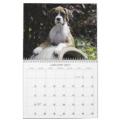 Boxer Puppy Calendar 2013 Kalender (Jan 2027)