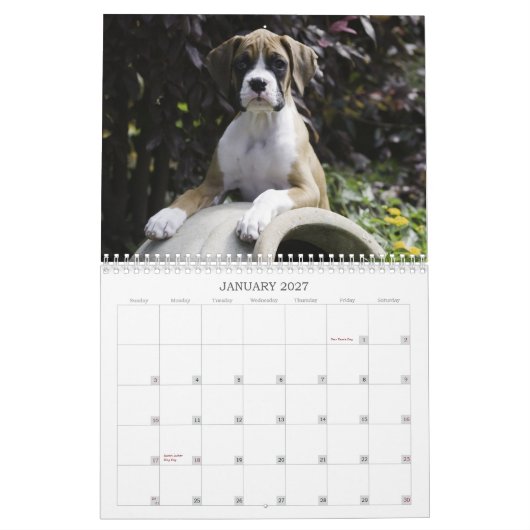 Boxer Puppy Calendar 2013 Kalender (Jan 2027)