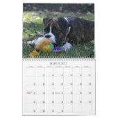 Boxer Puppy Calendar 2013 Kalender (Mar 2027)