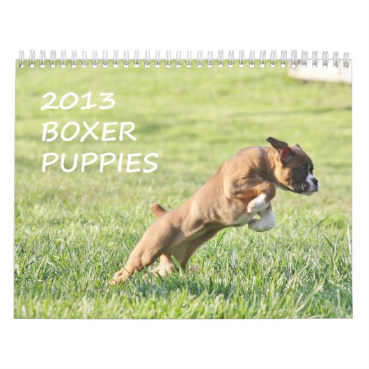 Boxer Puppy Calendar 2013 Kalender (Hoes)