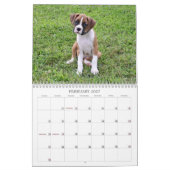 Boxer Puppy Calendar 2013 Kalender (Feb 2027)