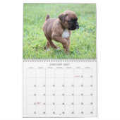 Boxer Puppy Calendar 2013 Kalender (Jan 2027)