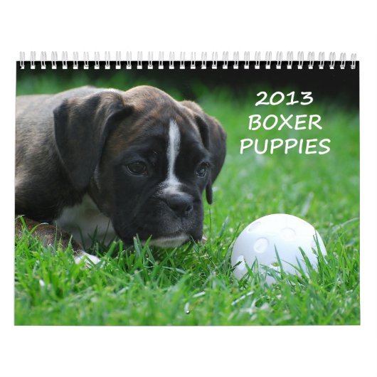 Boxer Puppy Calendar 2013 Kalender (Hoes)