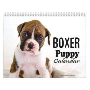 Boxer Puppy Calendar Kalender