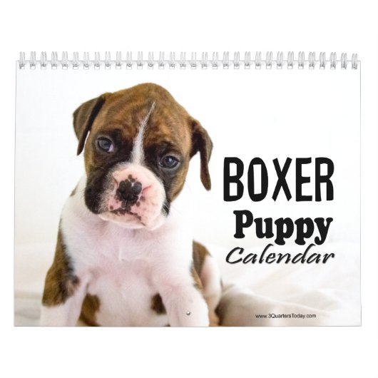 Boxer Puppy Calendar Kalender (Hoes)