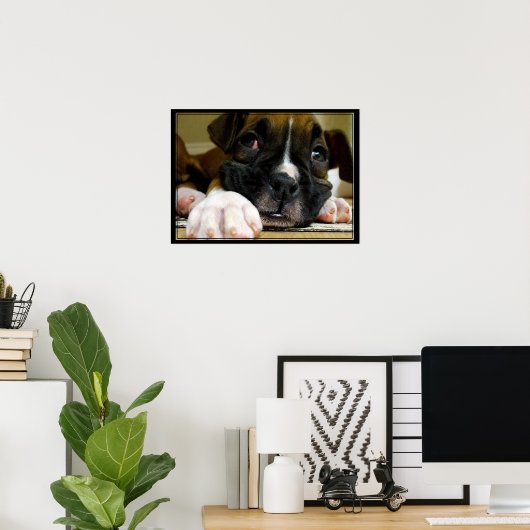 Boxer Puppy canvas afdrukken Poster (Thuiskantoor)
