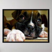 Boxer Puppy canvas afdrukken Poster (Voorkant)