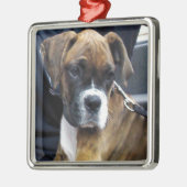BOXER PUPPY decoratie (Links)