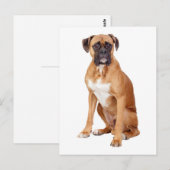 Boxer Puppy Dog Blank Groet Briefkaart (Voorkant / Achterkant)