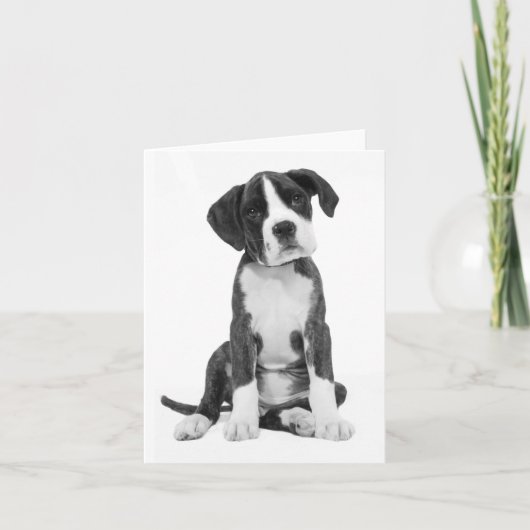 Boxer Puppy Dog Blank Note Kaart (Voorkant)