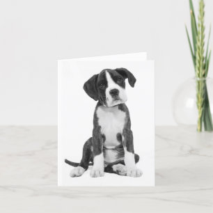 Boxer Puppy Dog Blank Note Kaart