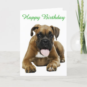 Boxer Puppy Dog Happy Birthday Card - Verse Kaart