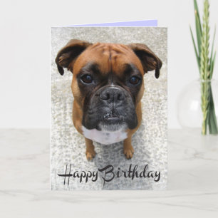 Boxer Puppy Dog Happy Birthday Card - Verse Kaart