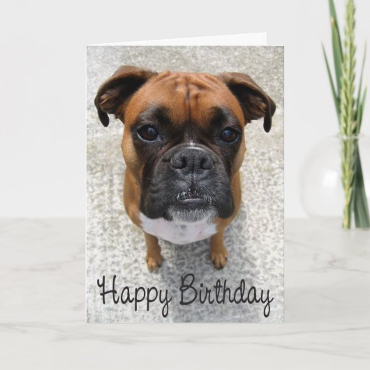Boxer Puppy Dog Happy Birthday Kaart - Verse (Voorkant)
