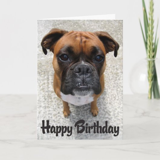 Boxer Puppy Dog Happy Birthday Kaart - Verse (Voorkant)