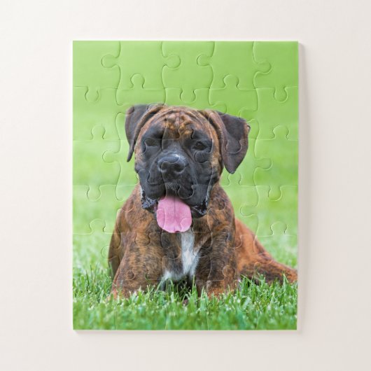 Boxer Puppy Dog Legpuzzel (Verticaal)