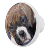 Boxer puppy drawer knop (Rechts)