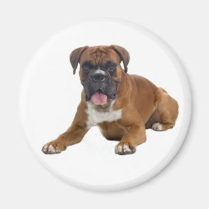 Boxer puppy hond koelkast magneet