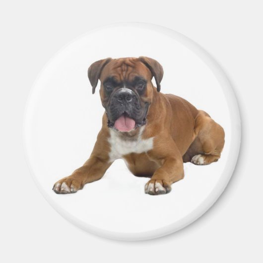 Boxer puppy hond koelkast magneet (Voorkant)