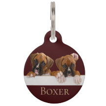 Boxer Puppy