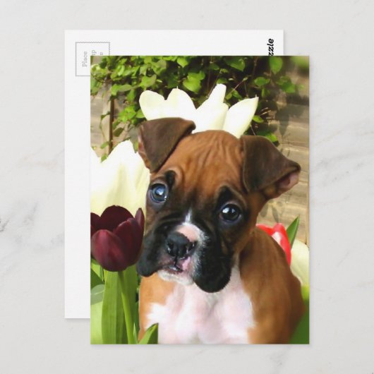 Boxer puppy in tlips briefkaart (Voorkant / Achterkant)