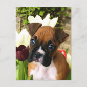 Boxer puppy in tlips briefkaart (Voorkant)