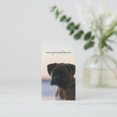 Boxer puppy in visitekaartjes aan de avond (Staand voorkant)