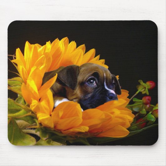 Boxer puppy in zonnebloempad muismat (Voorkant)