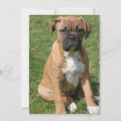 Boxer Puppy Invitation Kaart (Voorkant)