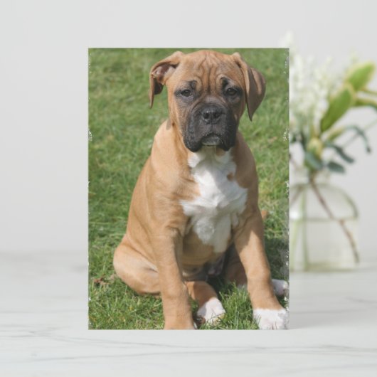 Boxer Puppy Invitation Kaart (Staand voorkant)