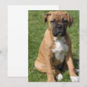 Boxer Puppy Invitation Kaart (Voorkant / Achterkant)