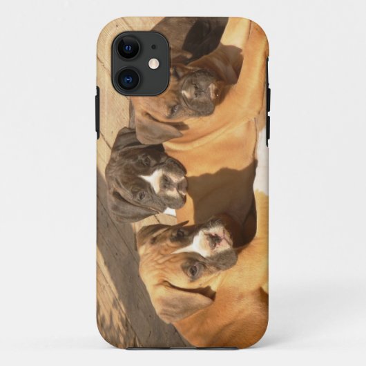 Boxer puppy iPhone 5 Barely There Universele Hoes (Achterkant)