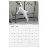 Boxer Puppy Love Calendar 2015 Kalender (Mar 2026)