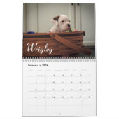 Boxer Puppy Love Calendar 2015 Kalender (Feb 2026)
