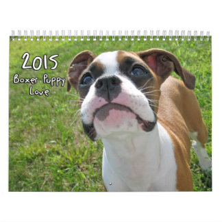 Boxer Puppy Love Calendar 2015 Kalender
