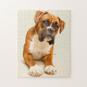 Boxer puppy on ivory cream backdrop. legpuzzel (Verticaal)