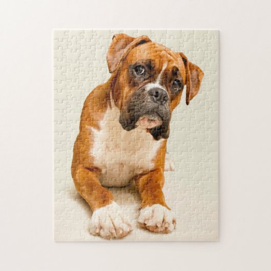 Boxer puppy on ivory cream backdrop. legpuzzel (Verticaal)