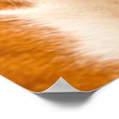 Boxer puppy on ivory cream backdrop. poster (Hoek)