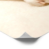 Boxer puppy on ivory cream backdrop. poster (Hoek)