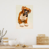 Boxer puppy on ivory cream backdrop. poster (Keuken)