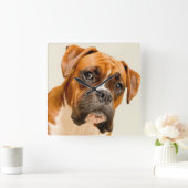 Boxer puppy on ivory cream backdrop. vierkante klok (Huis)