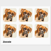 Boxer puppy on ivory cream backdrop. vierkante sticker (Vel)