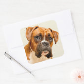 Boxer puppy on ivory cream backdrop. vierkante sticker (Envelop)