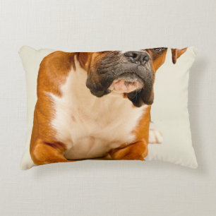 Boxer puppy op ivoorcrème achtergrond. accent kussen