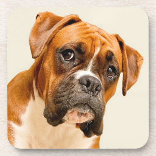 Boxer puppy op ivoorcrème achtergrond. drankjes onderzetter