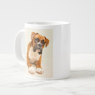 Boxer puppy op ivoorcrème achtergrond. grote koffiekop