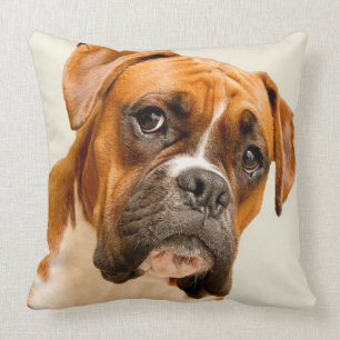 Boxer puppy op ivoorcrème achtergrond. kussen