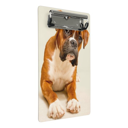 Boxer puppy op ivoorcrème achtergrond. mini klembord (Schuin)