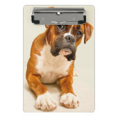 Boxer puppy op ivoorcrème achtergrond. mini klembord (Voorkant)