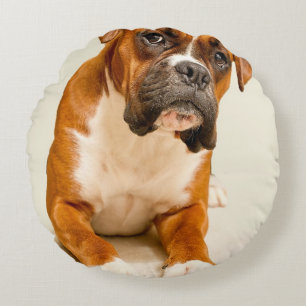 Boxer puppy op ivoorcrème achtergrond. rond kussen